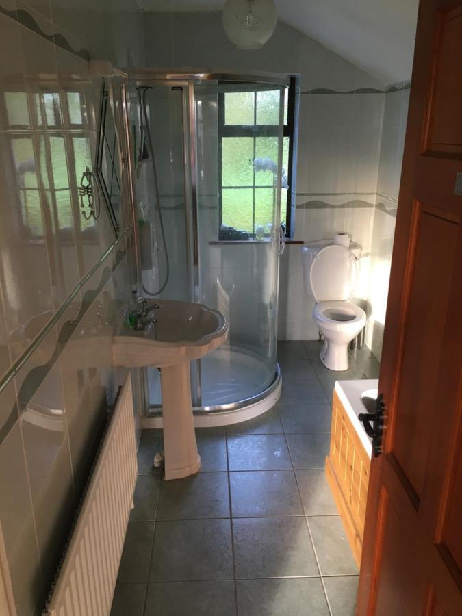 Oakdale, Templemore, E41F856 Zewnętrze zdjęcie