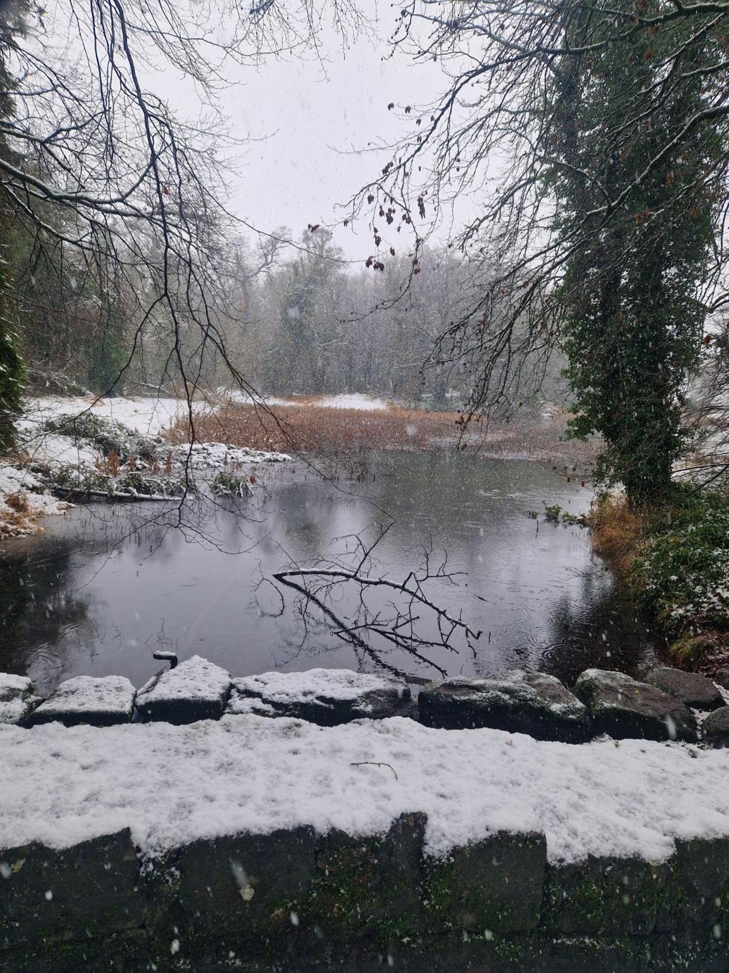 Oakdale, Templemore, E41F856 Zewnętrze zdjęcie