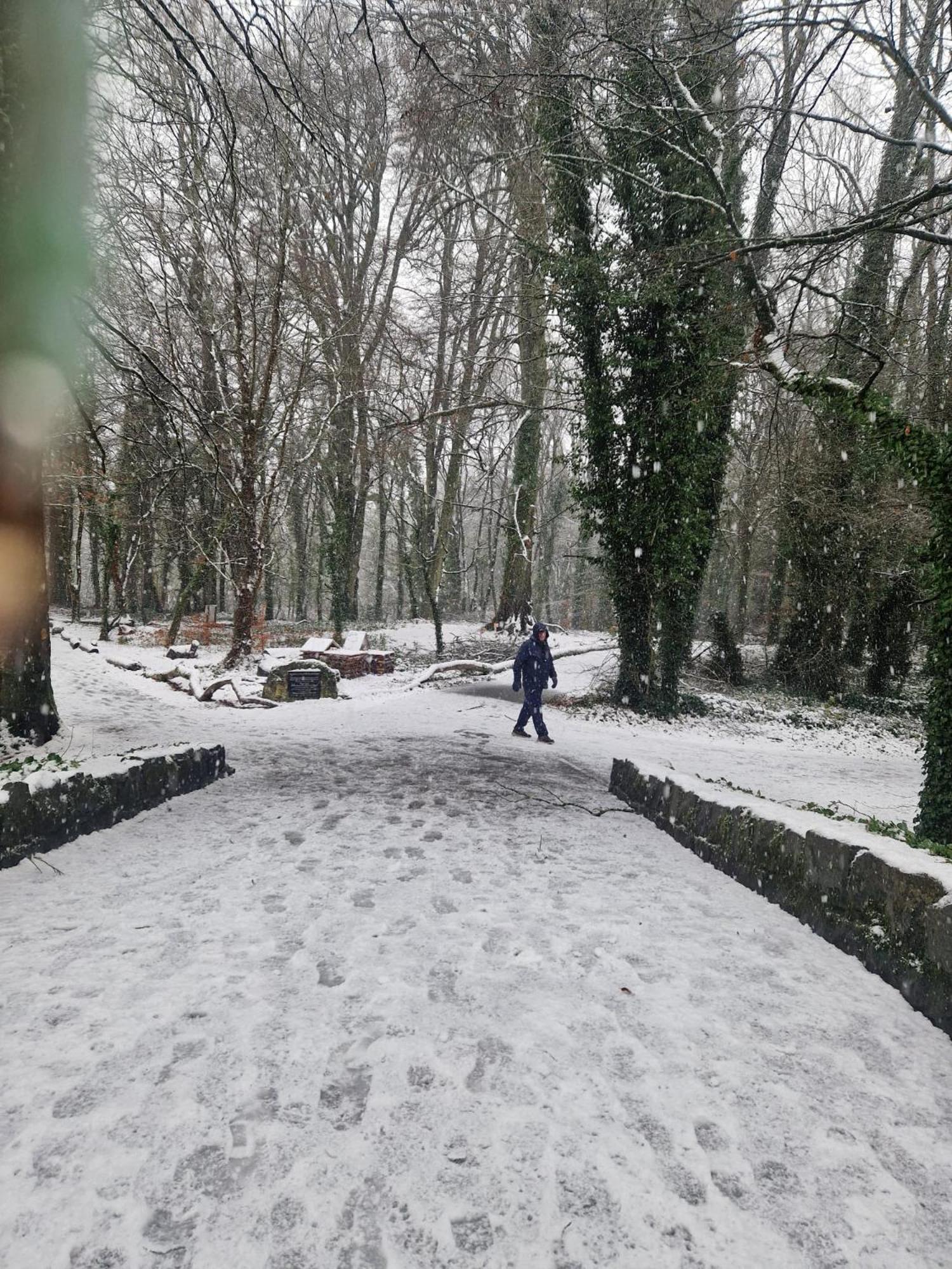 Oakdale, Templemore, E41F856 Zewnętrze zdjęcie