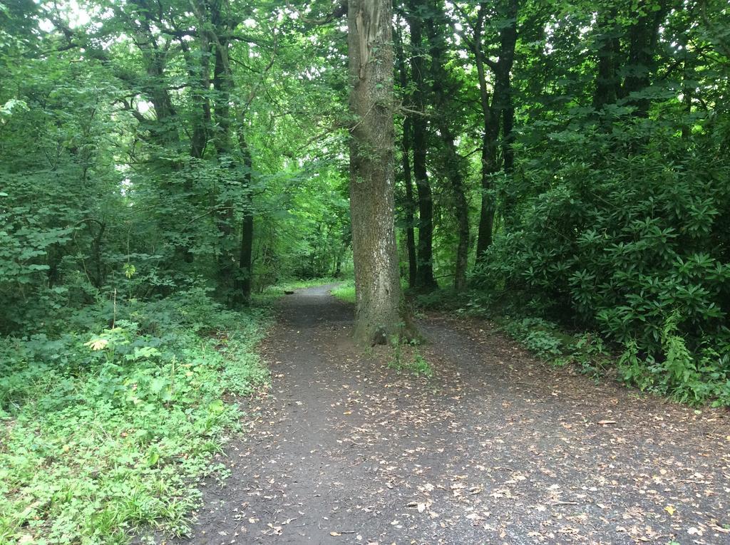 Oakdale, Templemore, E41F856 Zewnętrze zdjęcie