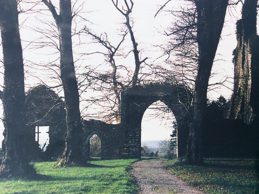 Oakdale, Templemore, E41F856 Zewnętrze zdjęcie